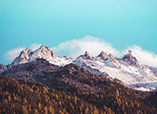 米兰体育官网：官方视角点亮球迷世界，带你同频追逐红黑激情